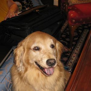 Meet your Posher, Terrie